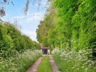 Fawns Cottage - Culmstock - 1