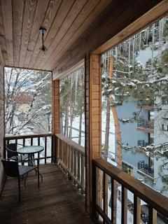 Tatu's wooden hut - 5