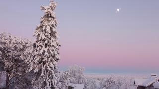 Guesthouse Golden Goose - 6