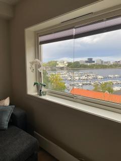 Central modern apartment in Bergen - 7