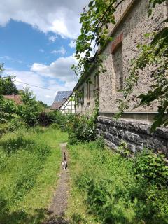 Alte Schule Buchenbach - 2