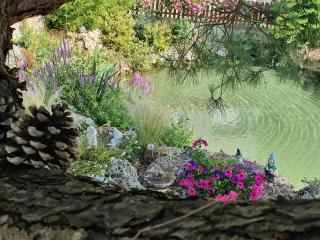 Chambre d'Hôte Les Ondines - Vinay - 4