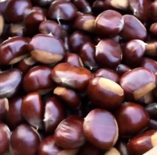 Casetta Mélodie - 3