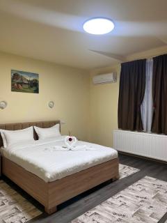 Apartamentele Liliacul - 7