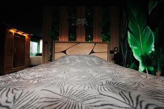 Jungle Room Dunkerque centre - 1