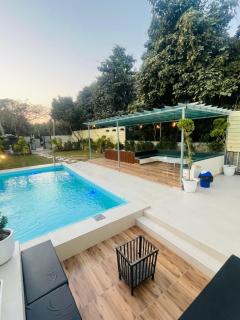 Olivine By Housiify - 6