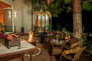 Pine View Resort by ELIVAAS Signature - 9