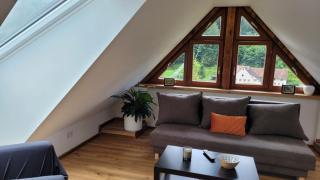 Landgasthof "Freiämter Hof" - 6