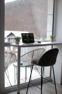 AVA Studio Sinaia - 1