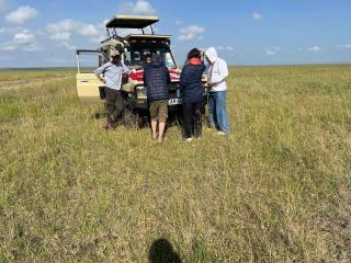 leyianmaasaisafaris - 8