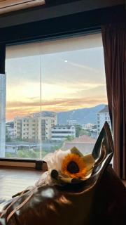 Oasis At The Hive Chiang Mai - 3