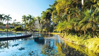 Oasis at Oaks Golden Beach - 5