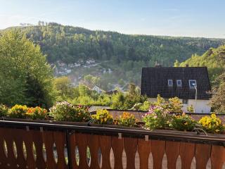 Pension Talblick Bad Grund - 3