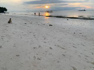 Trudis Place Beach Resort and Restaurant - 3