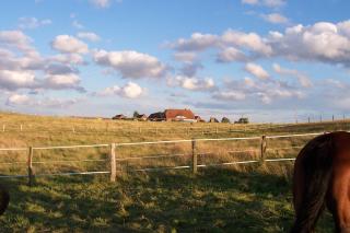 Pferdehof Ruhnau - Potzlow - 1