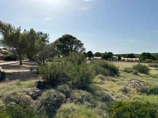 Maison familiale face à l'étang de Leucate La Franqui - 7