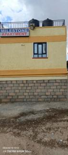 Savannah milestone - 8