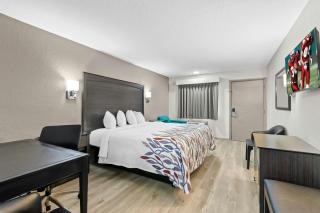 Red Roof Inn Panama City Beach - 2