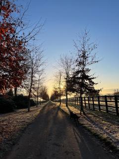 Cosy Cottage with Log Fire Near Hay-on-Wye - 1