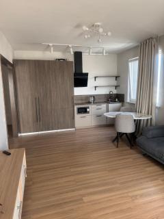 Абая 130 Двухкомнатная с видом на горы - 7