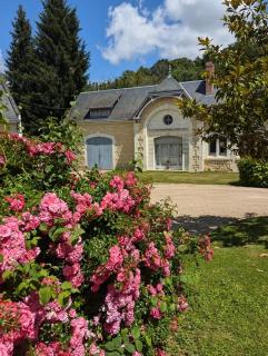 Chateau des portes de Chenonceau - 5