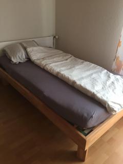 3 Zi Gartenwohnung - 1