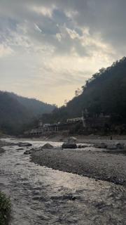 Birds the Jungle Retreat - 3