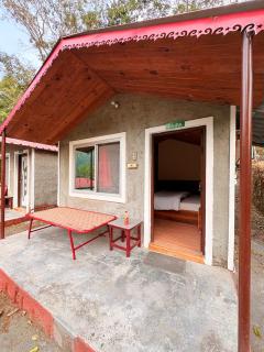 Birds the Jungle Retreat - 2