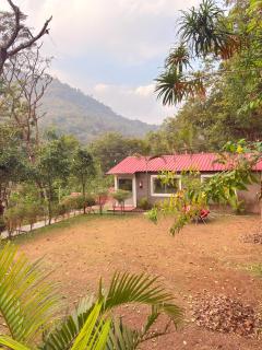 Birds the Jungle Retreat - 1