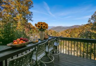 12 mins to DT Asheville & Biltmore, Fire pit, View - 0