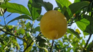 Masseria Delprete - 8