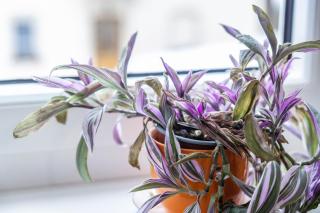 Residenz Schlossturm - 6