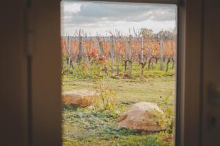 Château La Voûte - 4