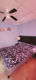 Hotel real camaleón - 7