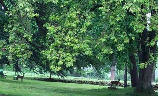 Château les bardons - 5