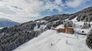 Puitalm Apartments & SPA by Peak Stay - 4