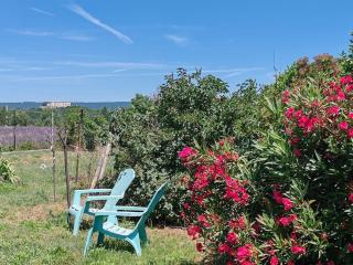 Villa les citronniers - 2
