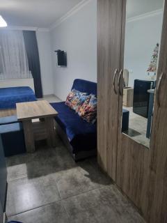 Sando Apartment Borjomi - 0