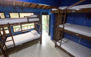 Arcadia Hostel Medellin - Medellín - 4