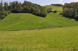 La Collina Zocca - 4