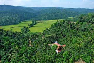 Dadad Gadde Nature Stay - Estate, Home Food, Near to Falls & Sightseeing - 7