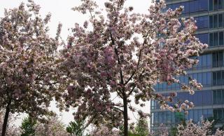 Esentai Designer Apartment with Mountain View - 6