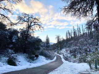 Stay at Whispering Pines, only 25 mi to Yosemite! - 2