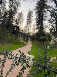 Stay at Whispering Pines, only 25 mi to Yosemite! - 1