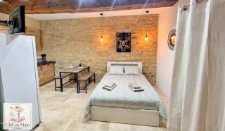 Le Petit Cocon Cozy studio proche de Lyon - 6
