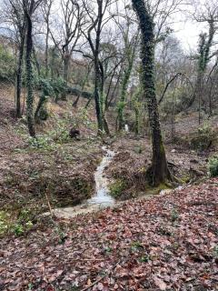 Mas ancien dans la nature, piscine privée, chauffé de mois d'avril - 7