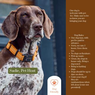 Mountain Brook Cabin - 3