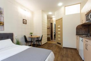 Затишна студія у самому центрі Харкова - вулиця Миколи Хвильового 15 - 5