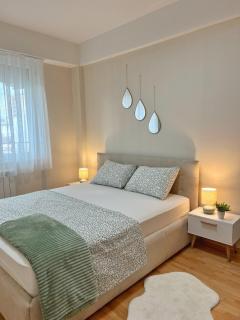 Nika apartment in the heart of Skopje - 1