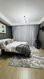 Penthouse 2 Levels Kilimani 4 Beds Roof Access - 8